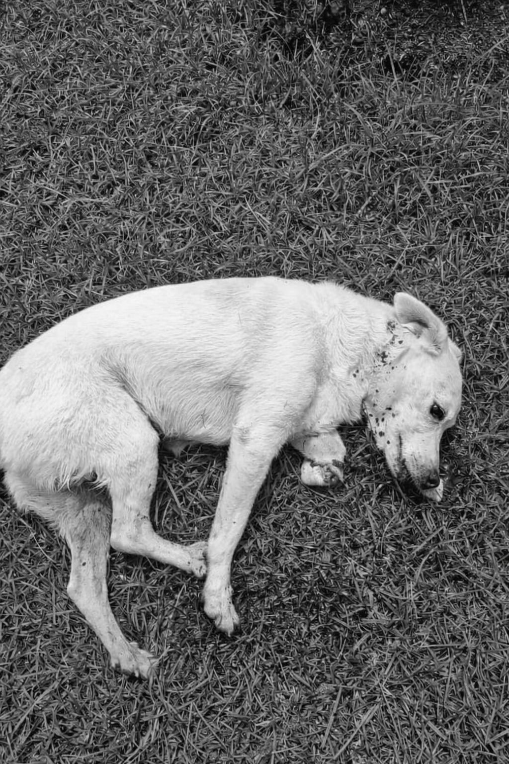 Banner de Promoção